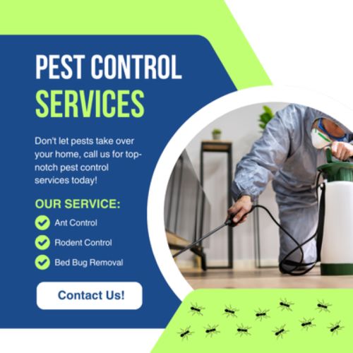 Samedaypestcontrol30